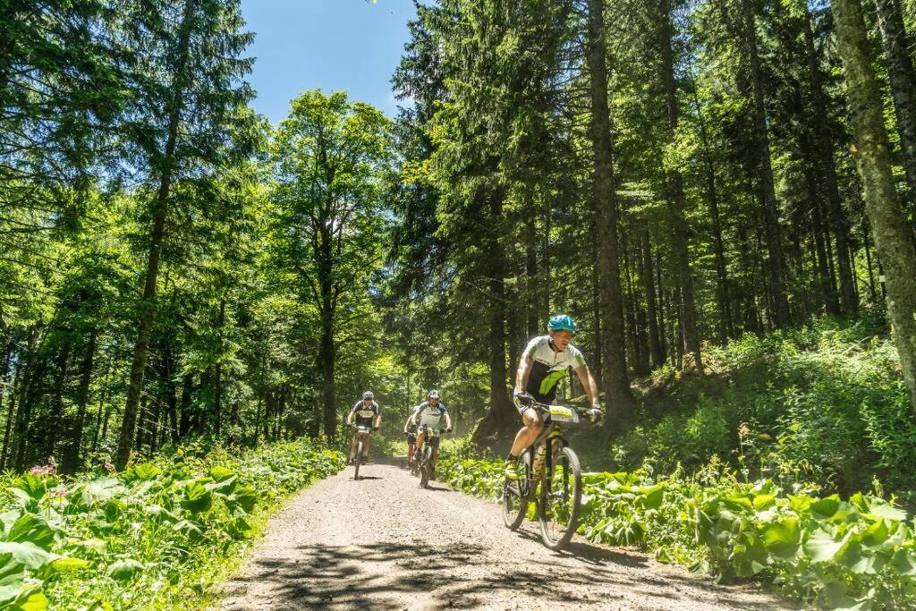 Waldoase Titisee מראה חיצוני תמונה