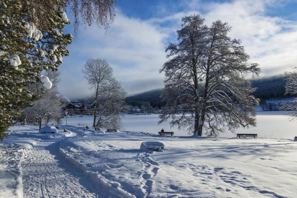 Waldoase Titisee מראה חיצוני תמונה