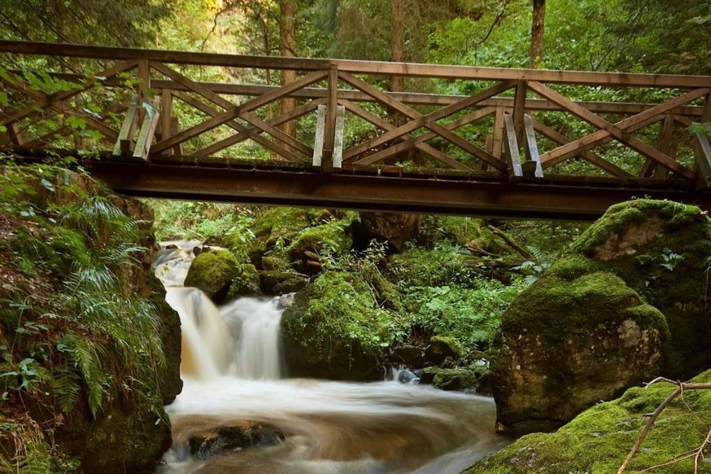 Waldoase Titisee מראה חיצוני תמונה